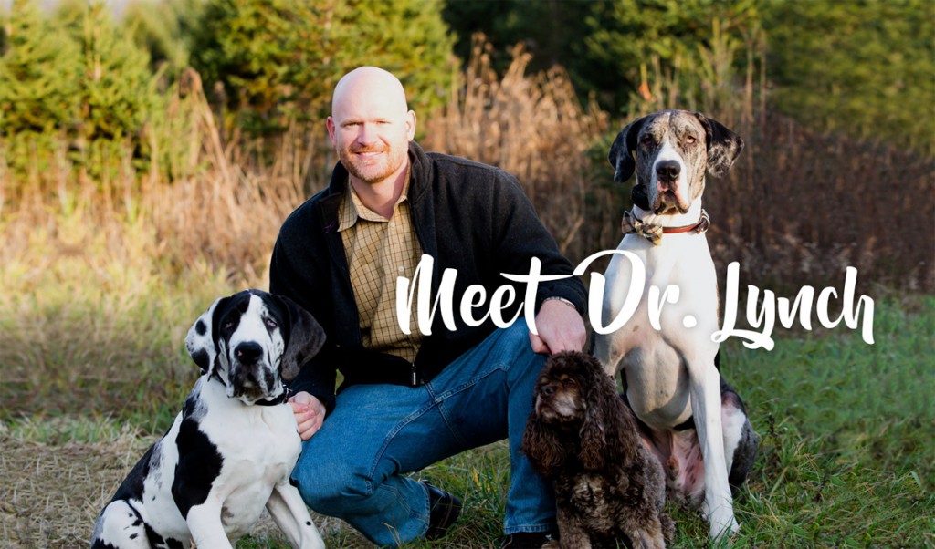 drlynch Lynch Dentistry